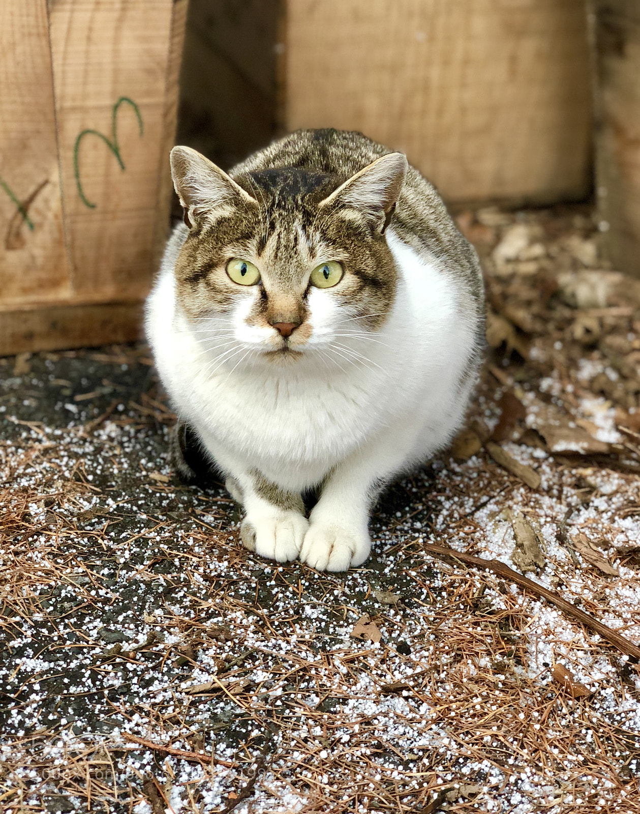 Apple iPhone X sample photo. Untitled photography