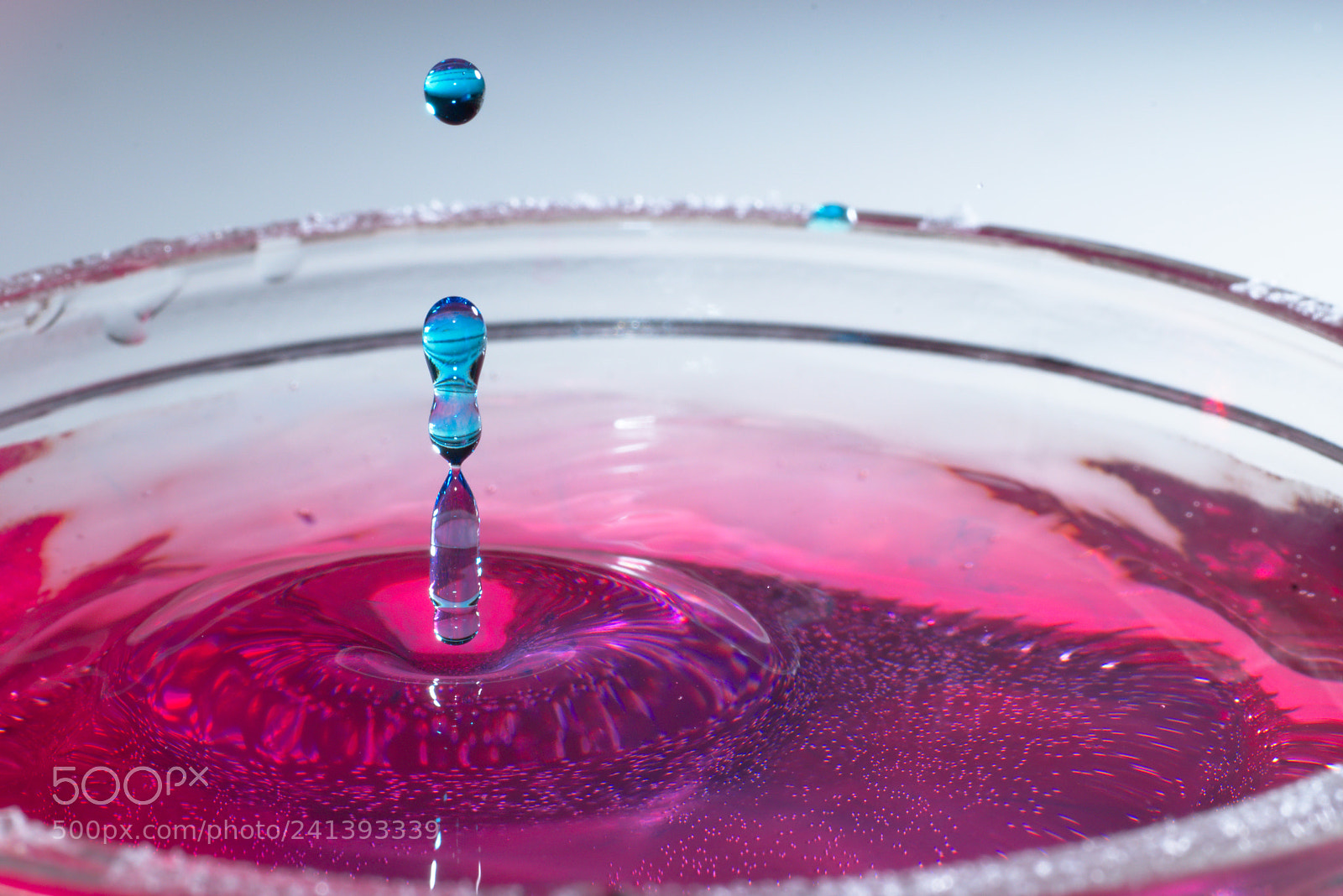 Nikon D5600 sample photo. Blue waterdrop macro photography
