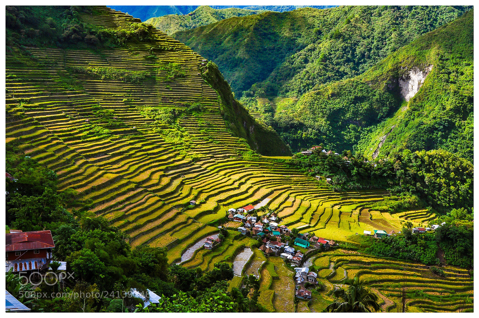 Nikon D90 sample photo. Rice terraces, philippines photography