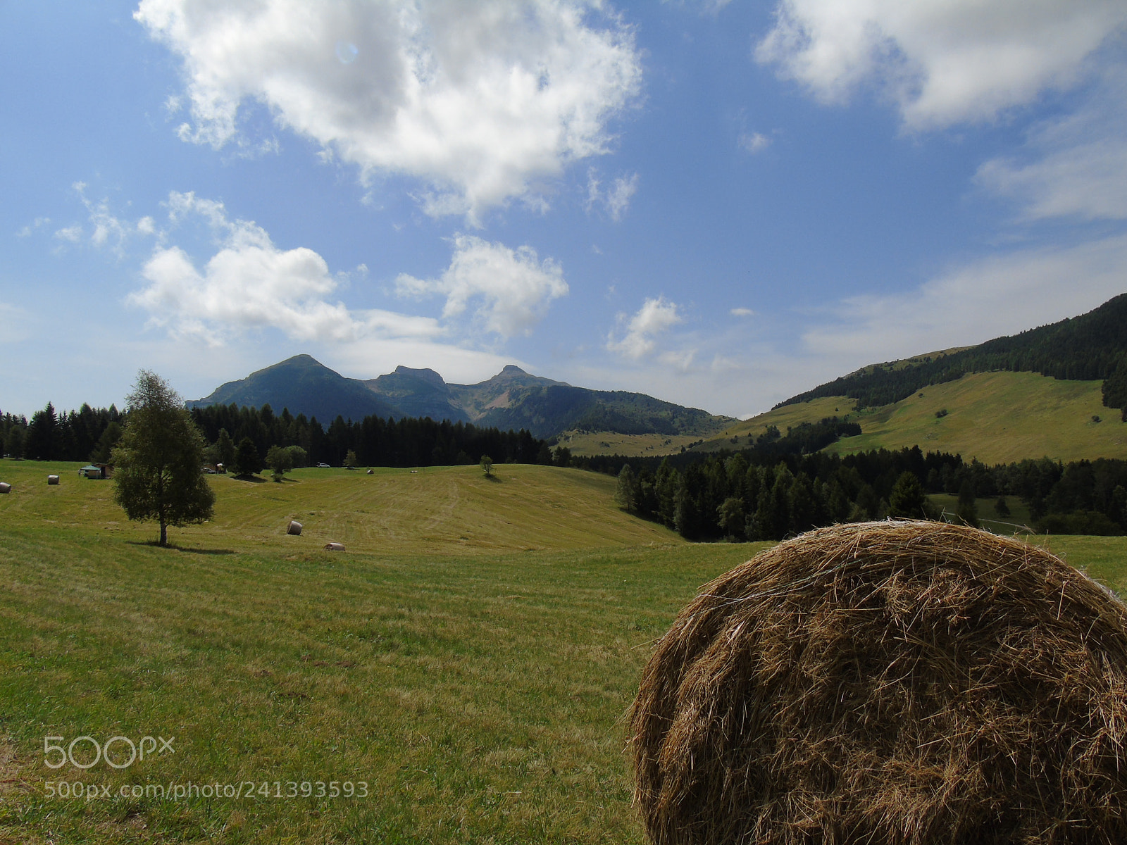 Sony Cyber-shot DSC-H400 sample photo. Farm house photography