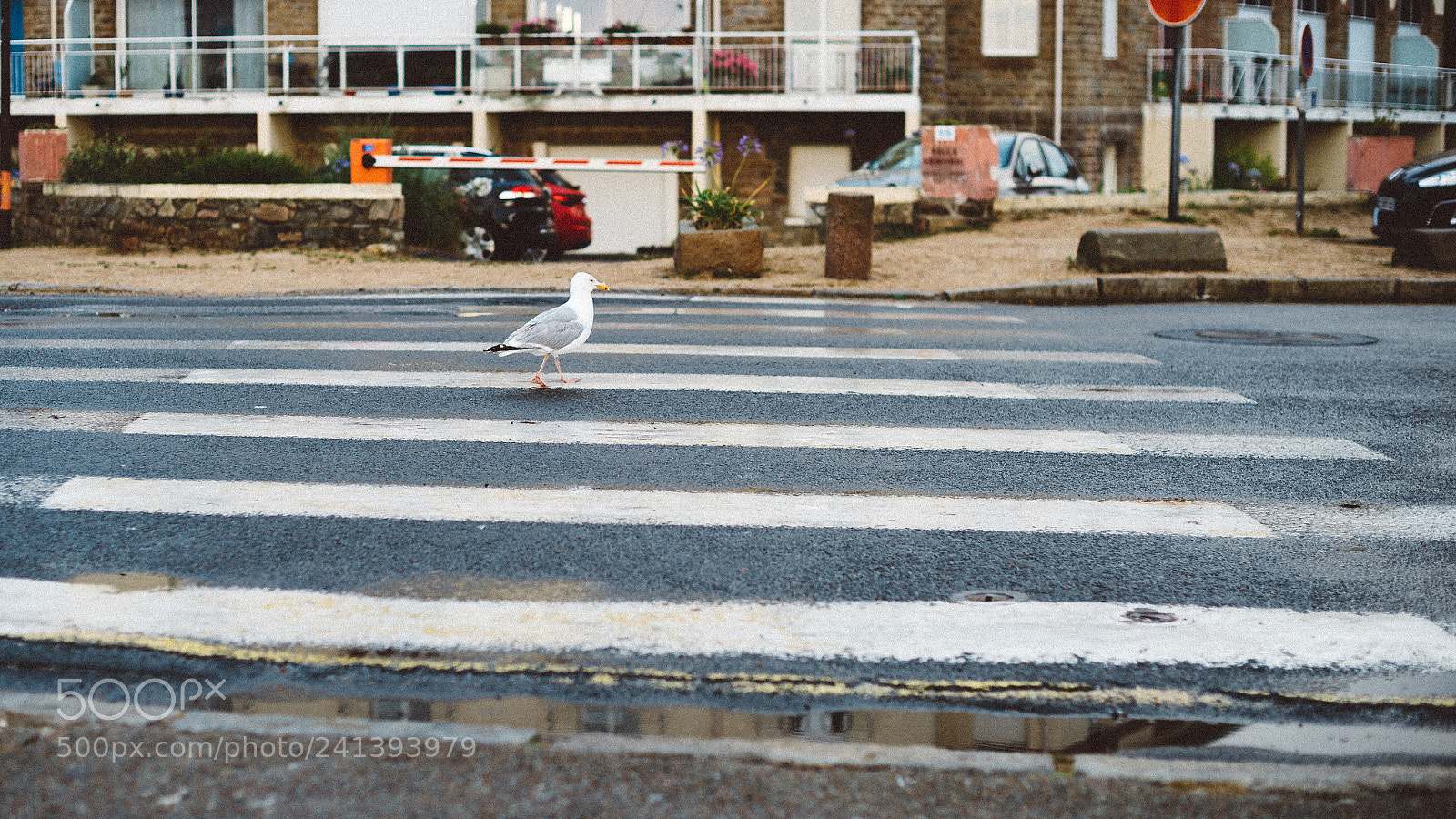 Nikon Df sample photo. Lt 83 photography