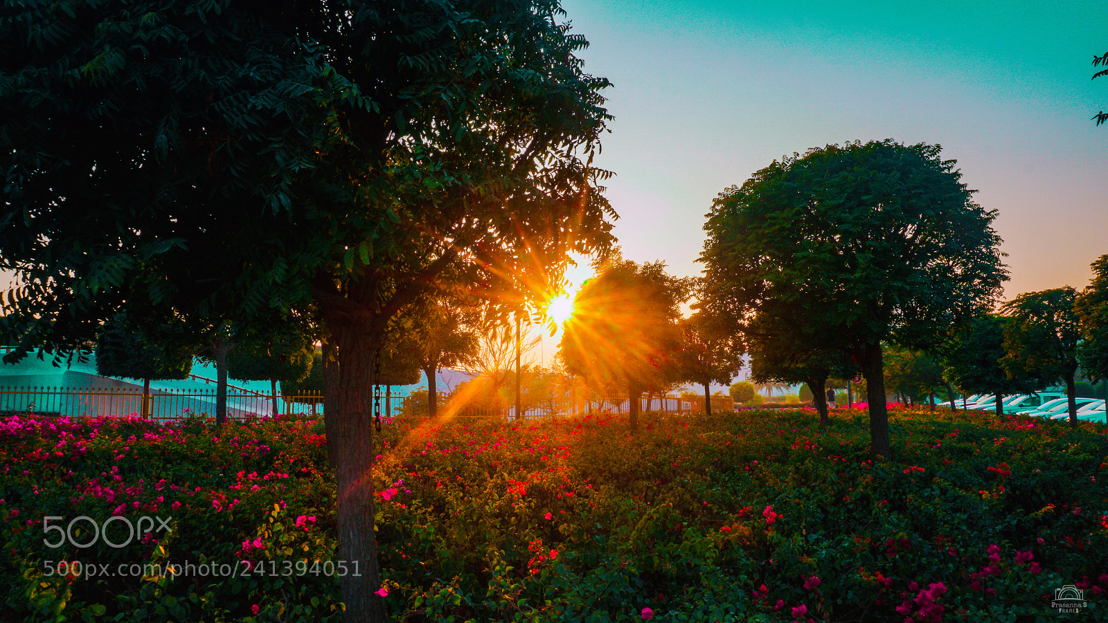 Sony a6300 sample photo. Quiescent photography