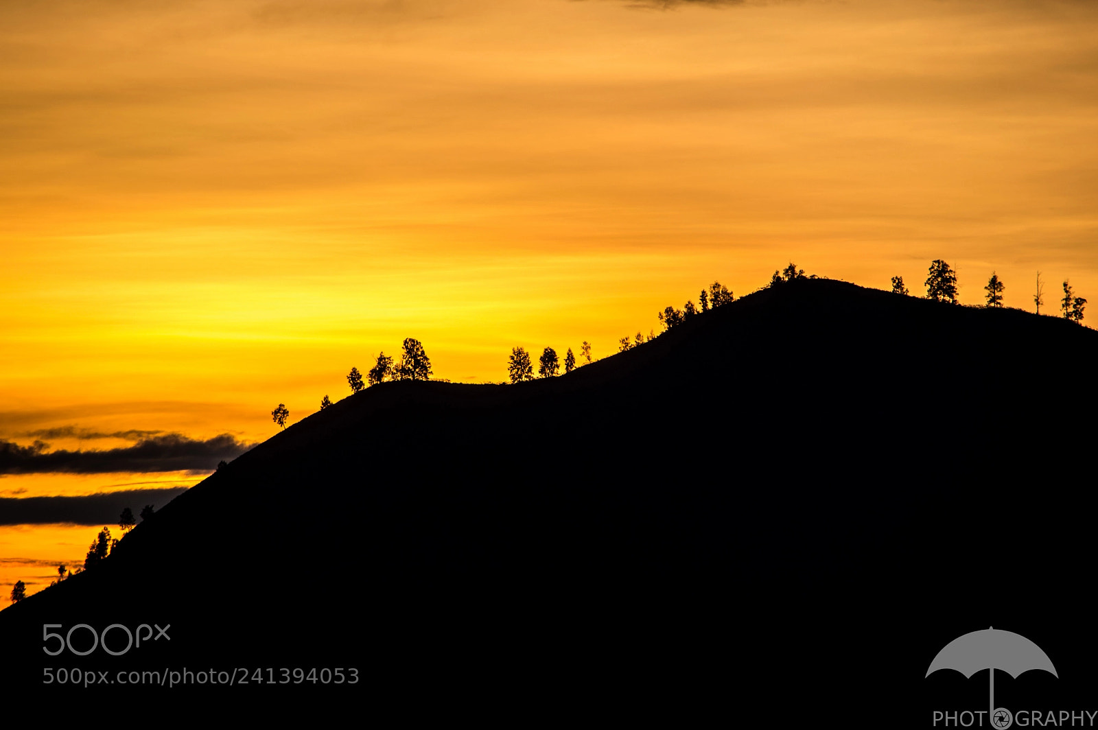 Nikon D3200 sample photo. Yellow mornings photography