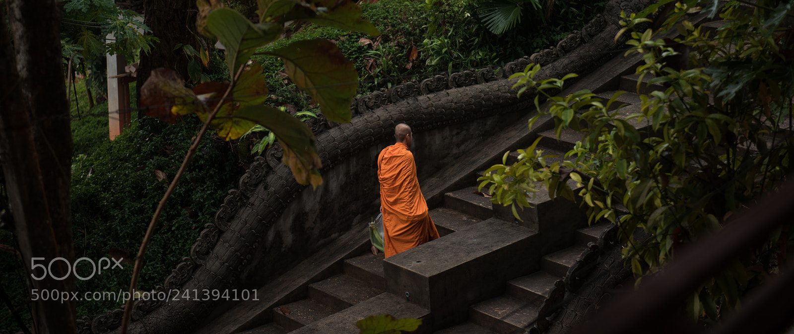 Nikon D810 sample photo. The daily walk photography