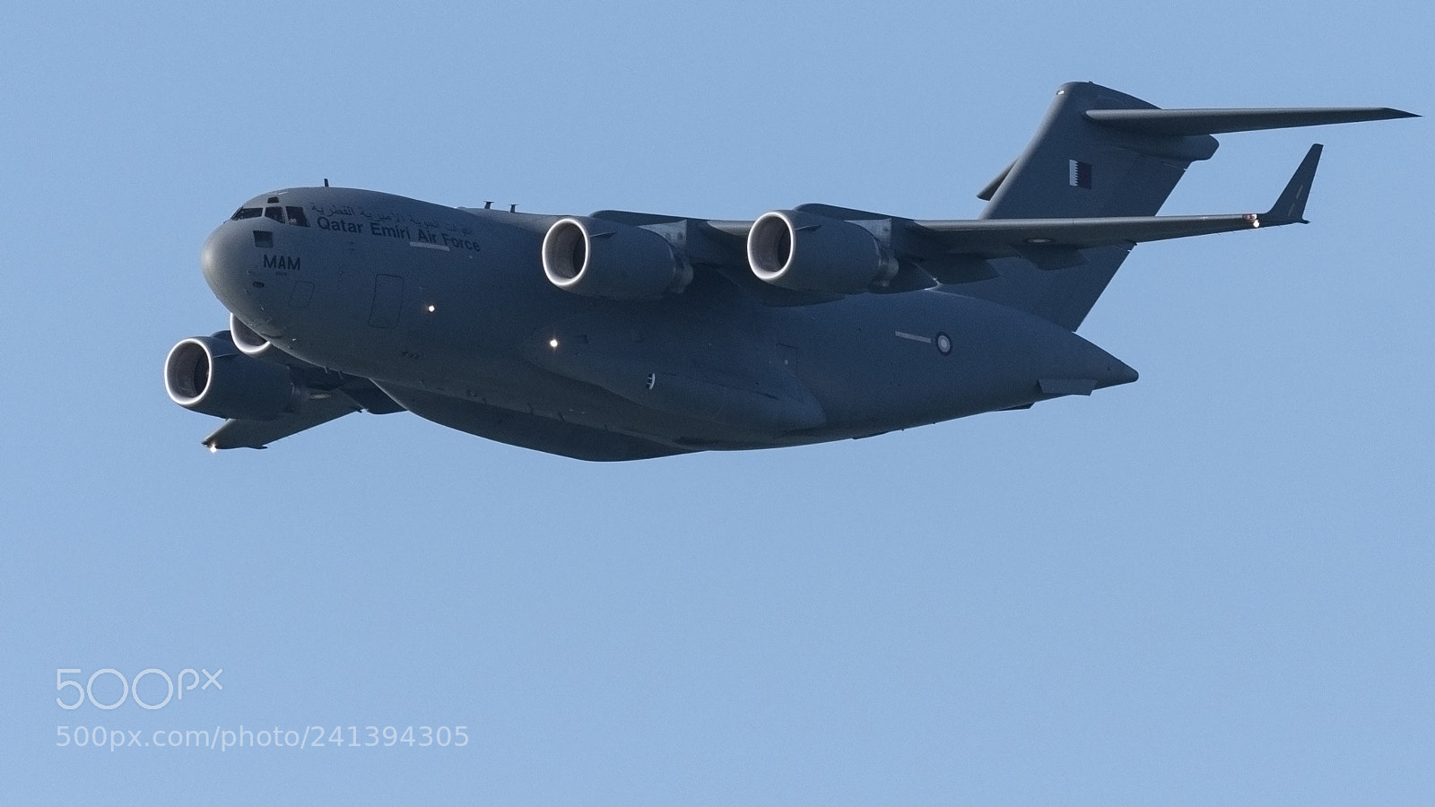 Nikon D500 sample photo. C-17 photography