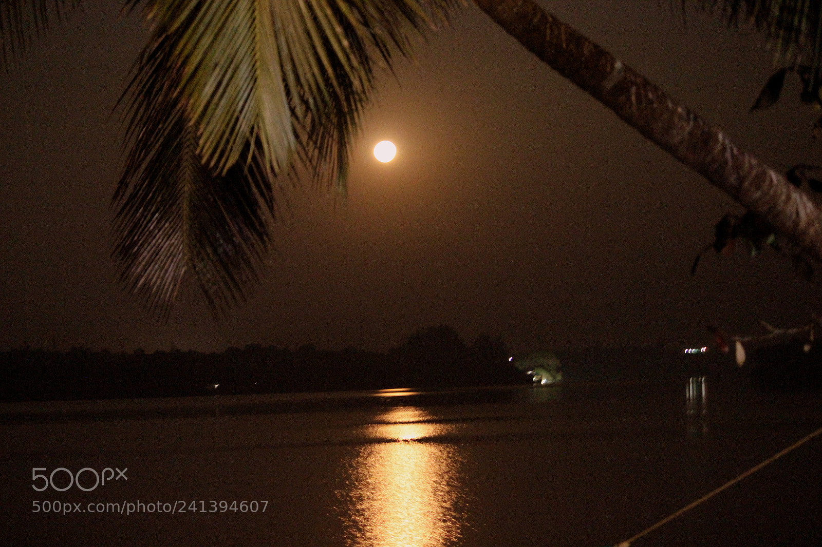 Canon EF-S 55-250mm F4-5.6 IS II sample photo. Full moon photography