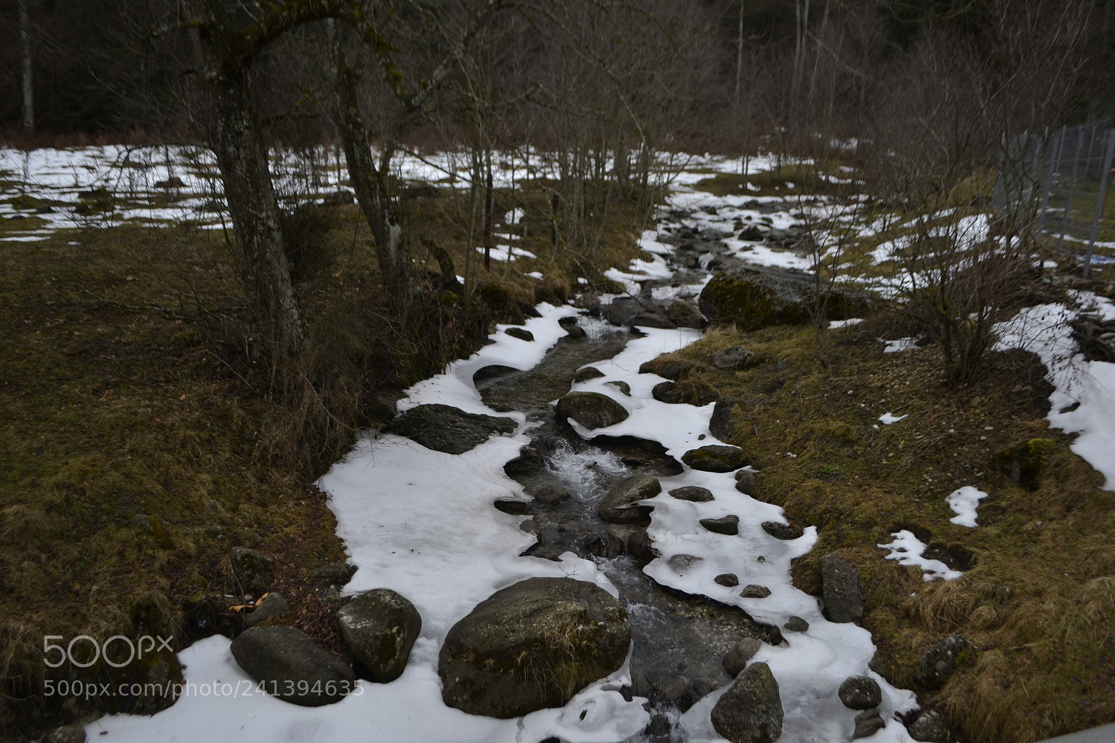 Nikon D3100 sample photo. Spring photography