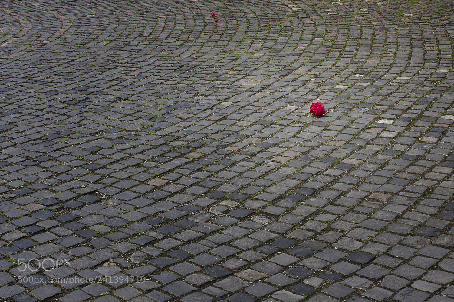 Canon EOS 40D sample photo. Game over photography