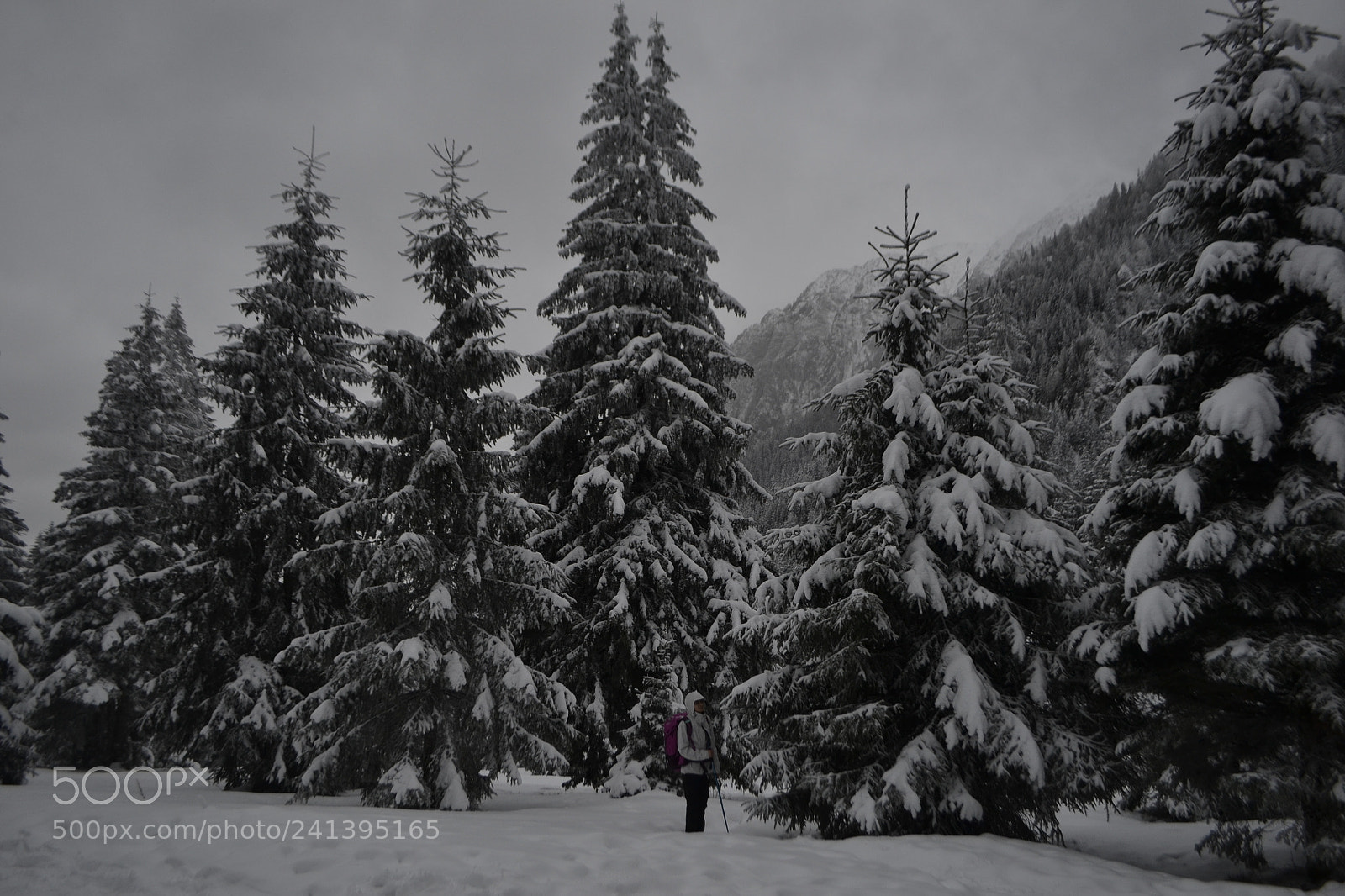 Nikon D3100 sample photo. Winter path photography