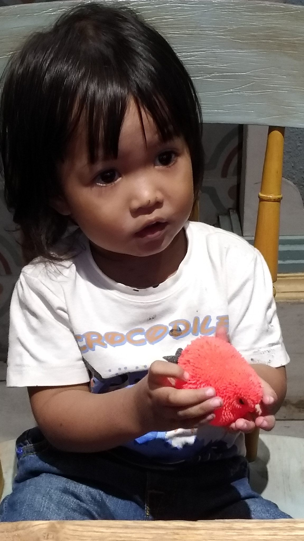 ASUS ZenFone 3 Zoom (ZE553KL) sample photo. Little baby and little chicken photography