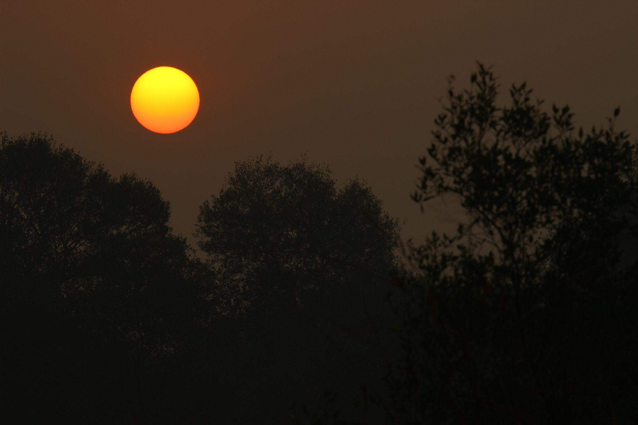 Canon EF 100-400mm F4.5-5.6L IS USM sample photo. Sunrise photography
