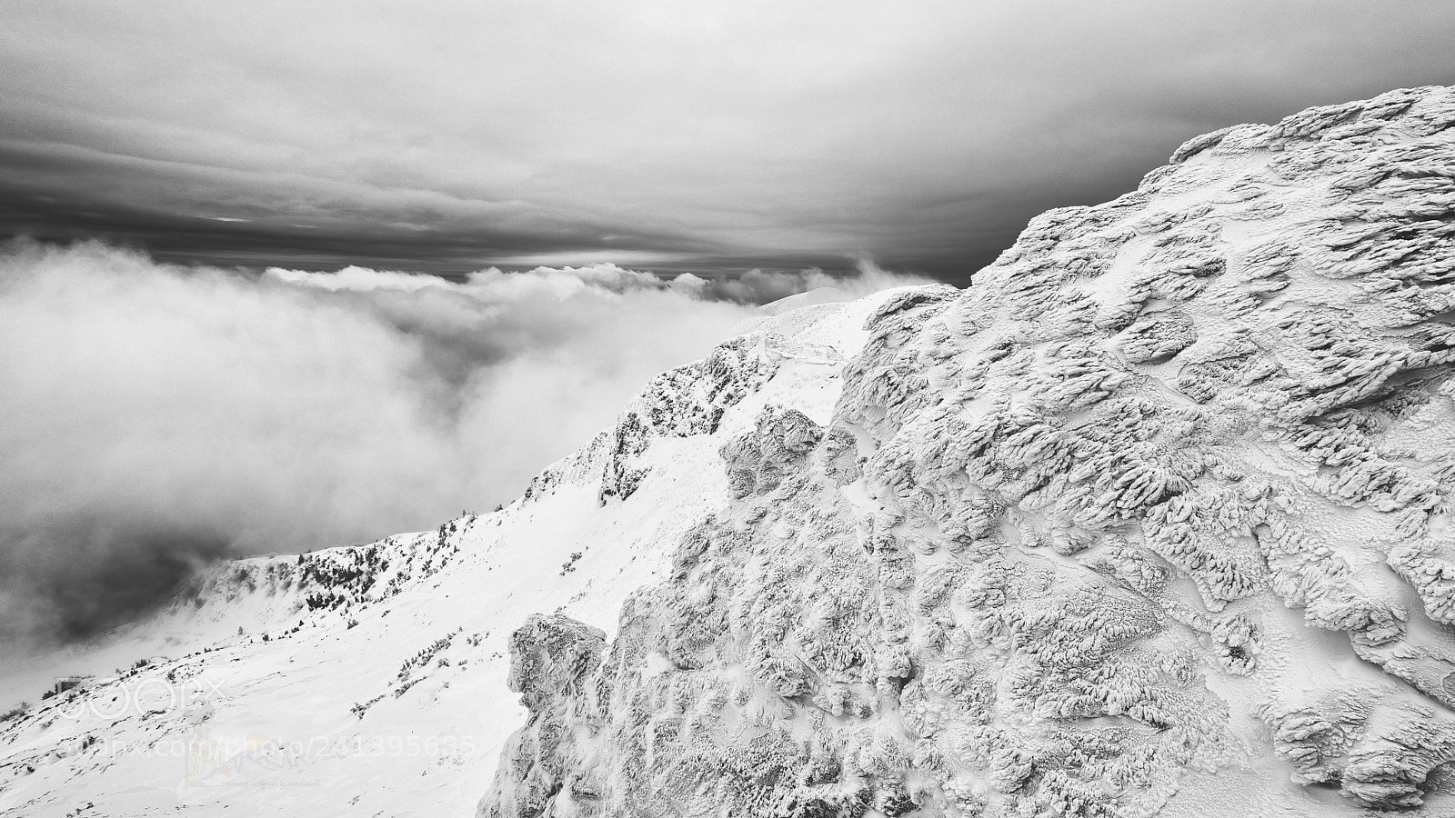 Nikon D810 sample photo. Frozen photography