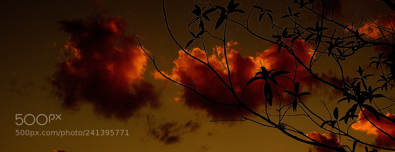 Fujifilm FinePix SL1000 sample photo. Clouds .... photography