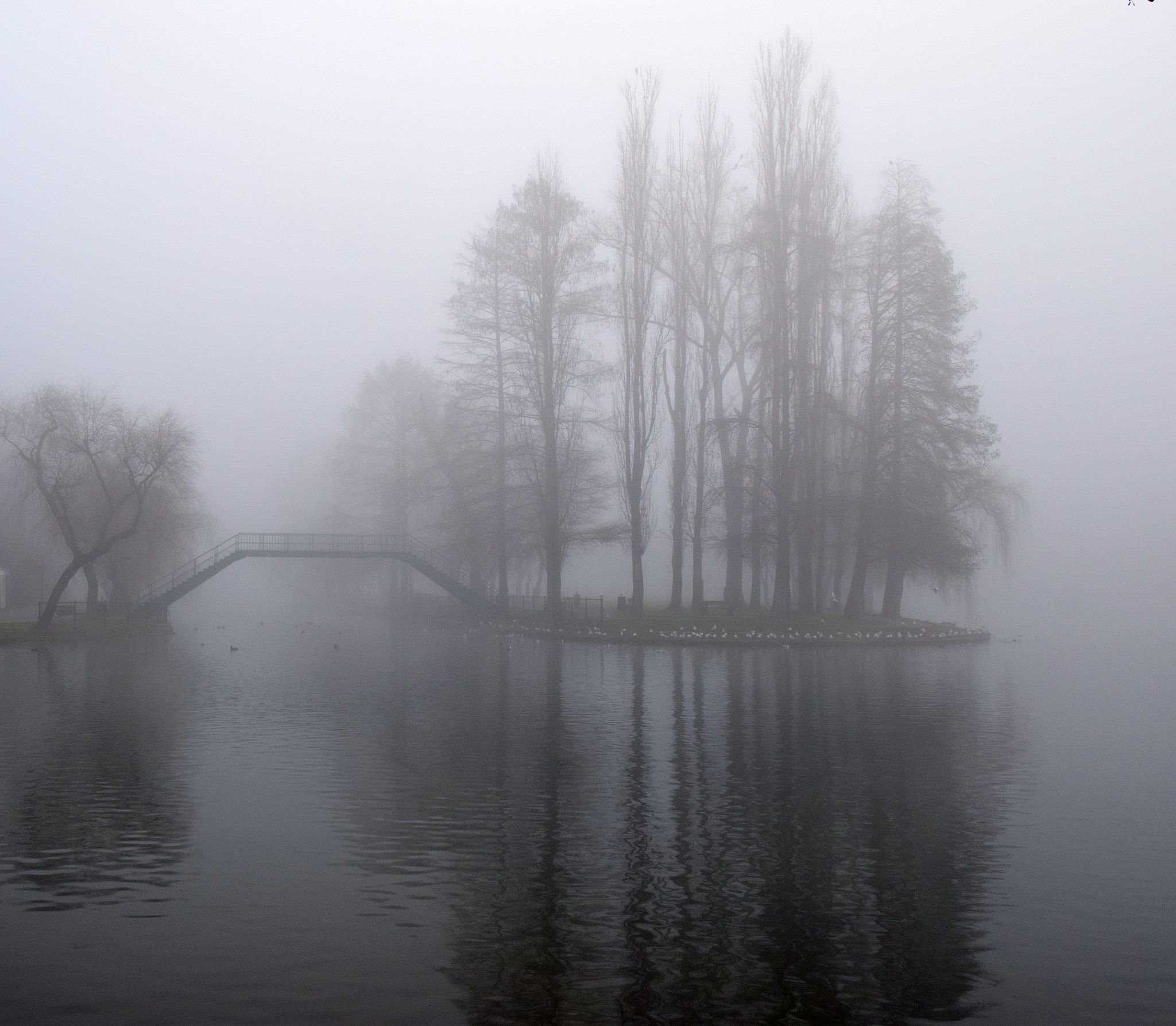 Nikon D5300 + Nikon AF-S Nikkor 20mm F1.8G ED sample photo. Foggy mood photography