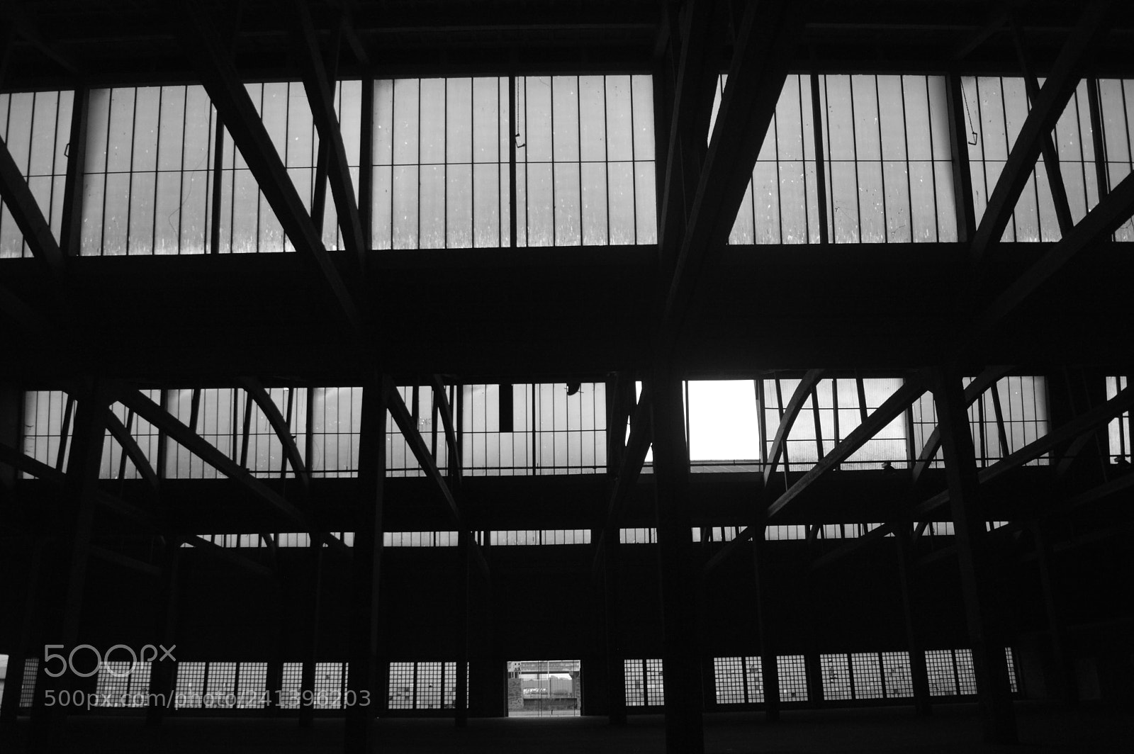 Nikon D3200 sample photo. Slaughterhouse photography