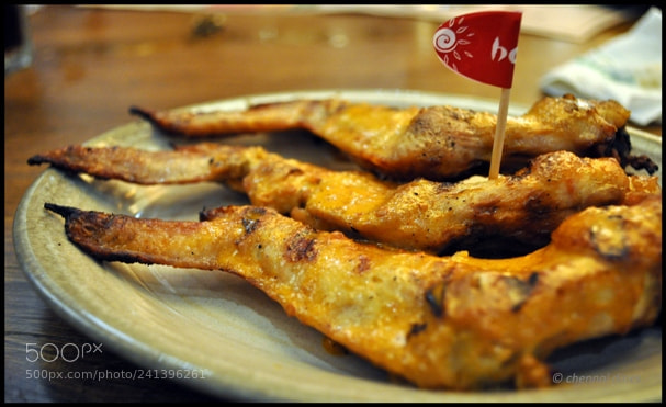 Nikon D5000 sample photo. Best barbecue restaurants chennai photography