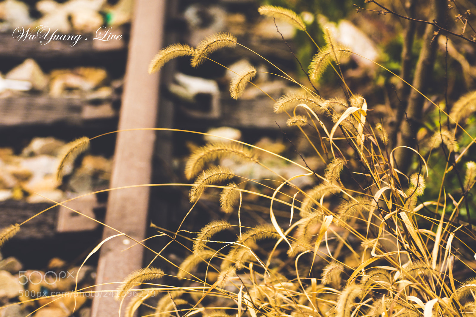 Nikon D7200 sample photo. The witness of time photography