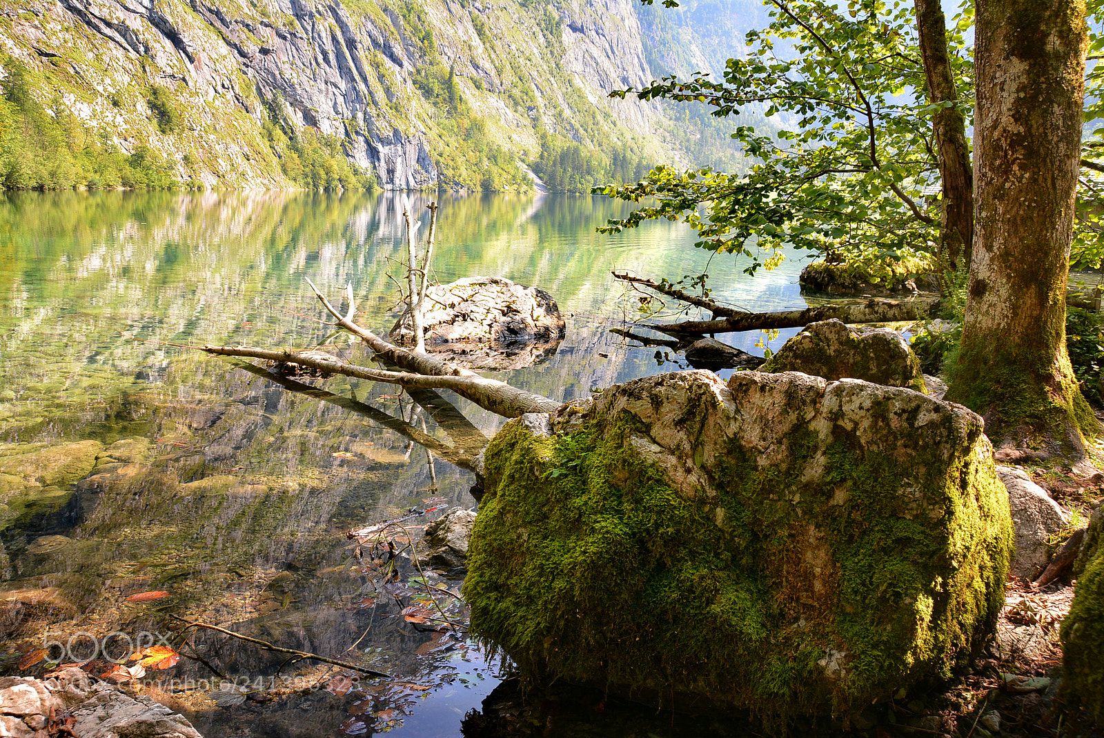 Nikon D7100 sample photo. Obersee photography