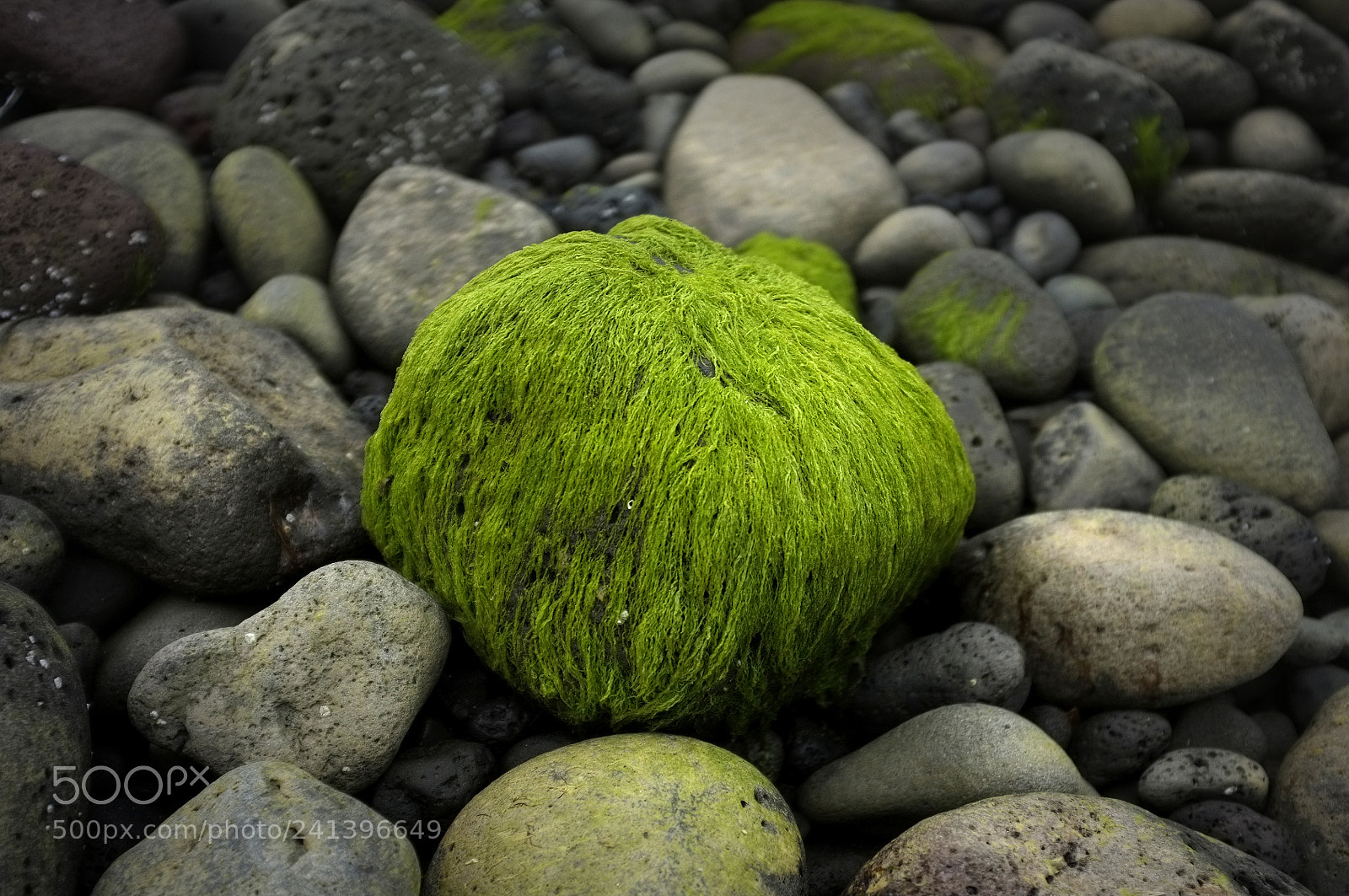 Fujifilm FinePix X100 sample photo. Stone photography