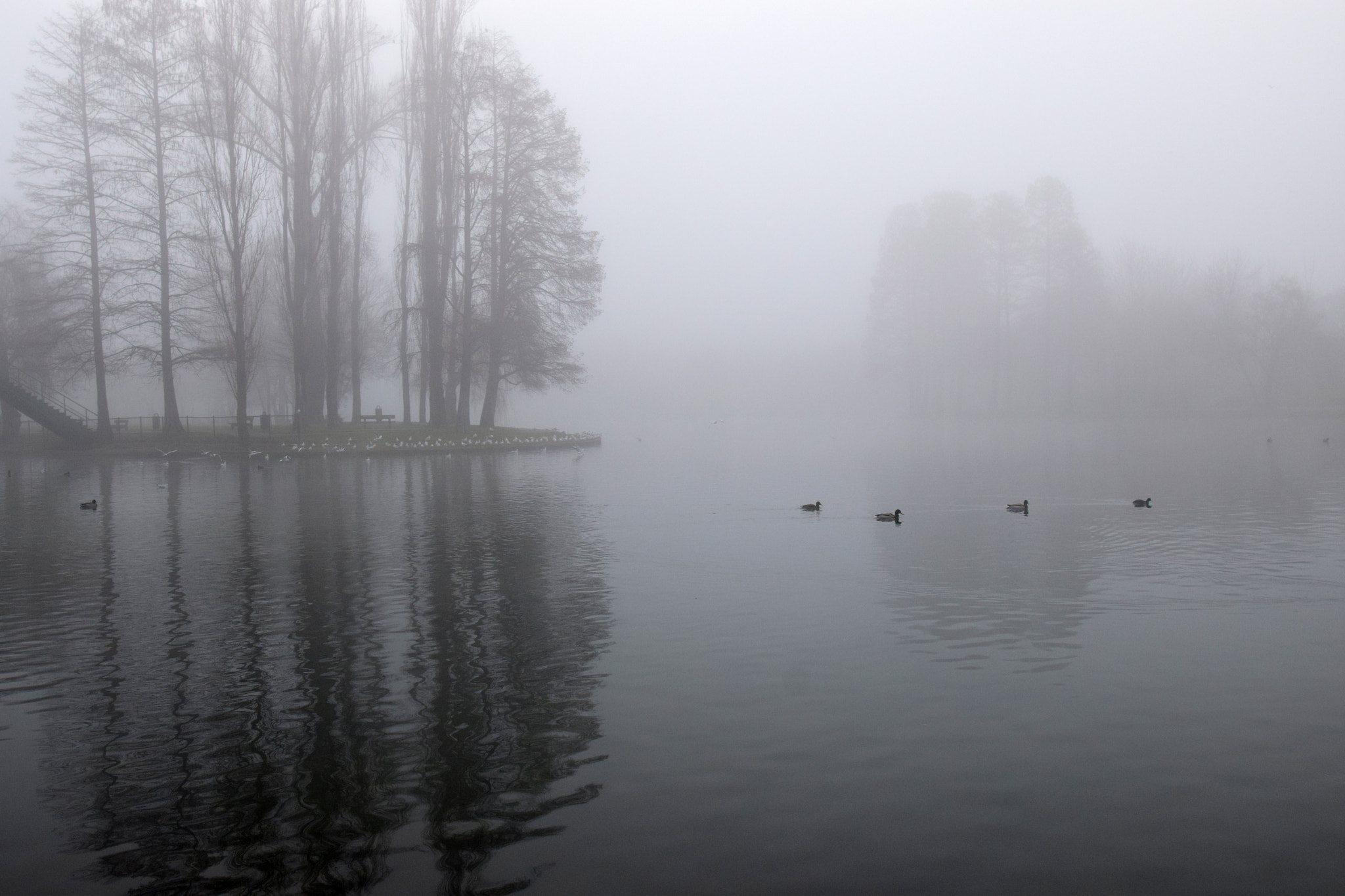 Nikon D5300 + Nikon AF-S Nikkor 20mm F1.8G ED sample photo. Foggy landscape photography