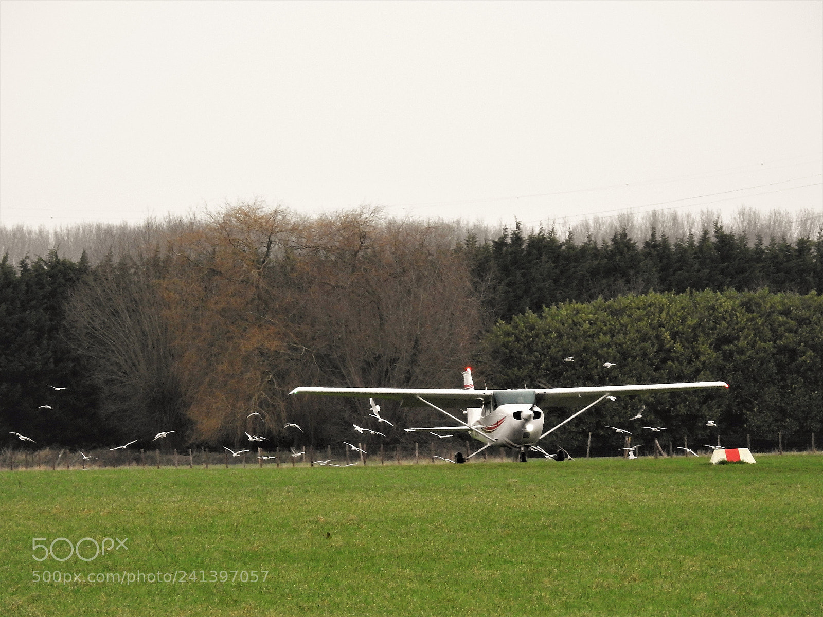 Nikon Coolpix P900 sample photo. Accompanied landing photography
