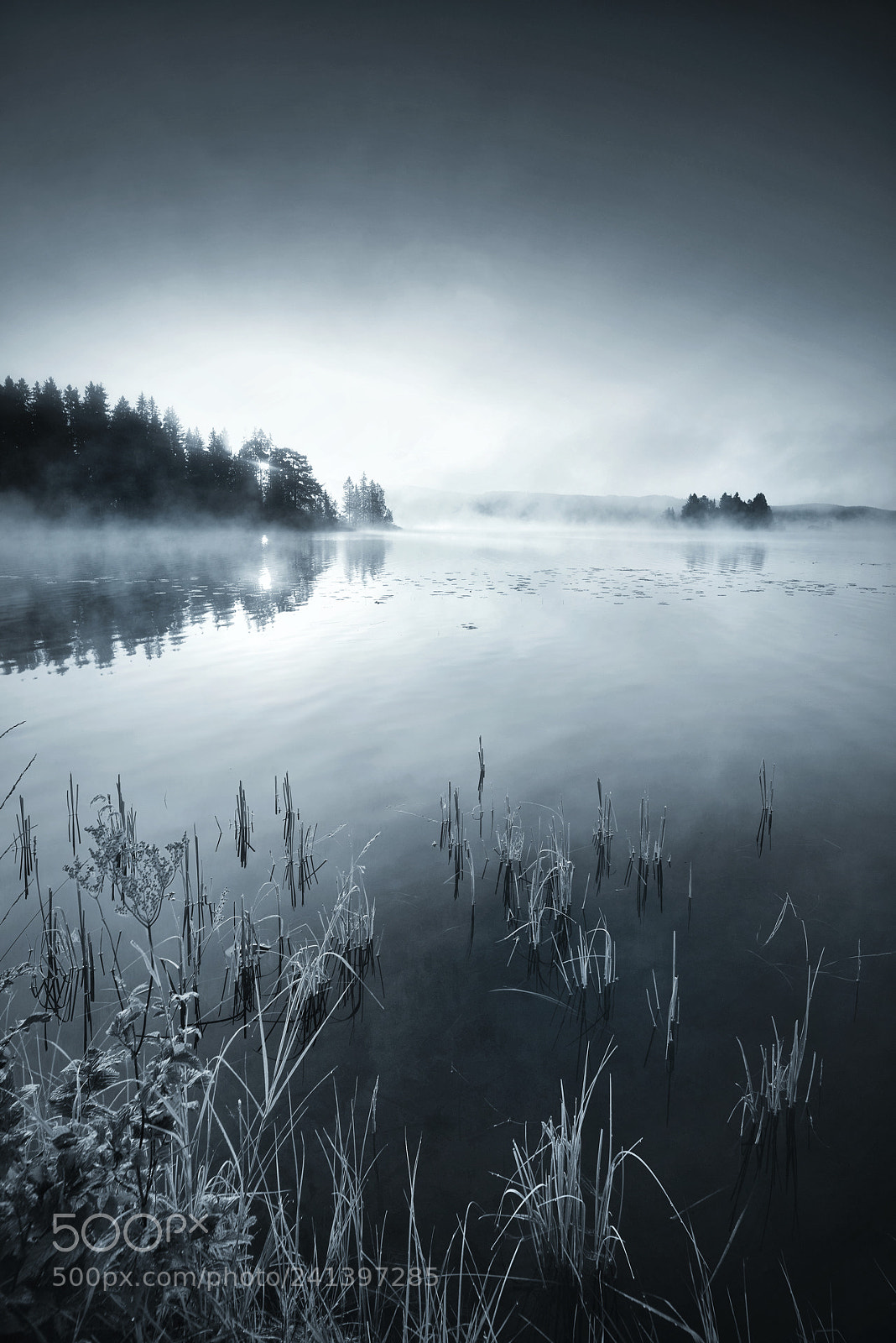 Pentax K-1 sample photo. Foggy sunrise in sweden photography