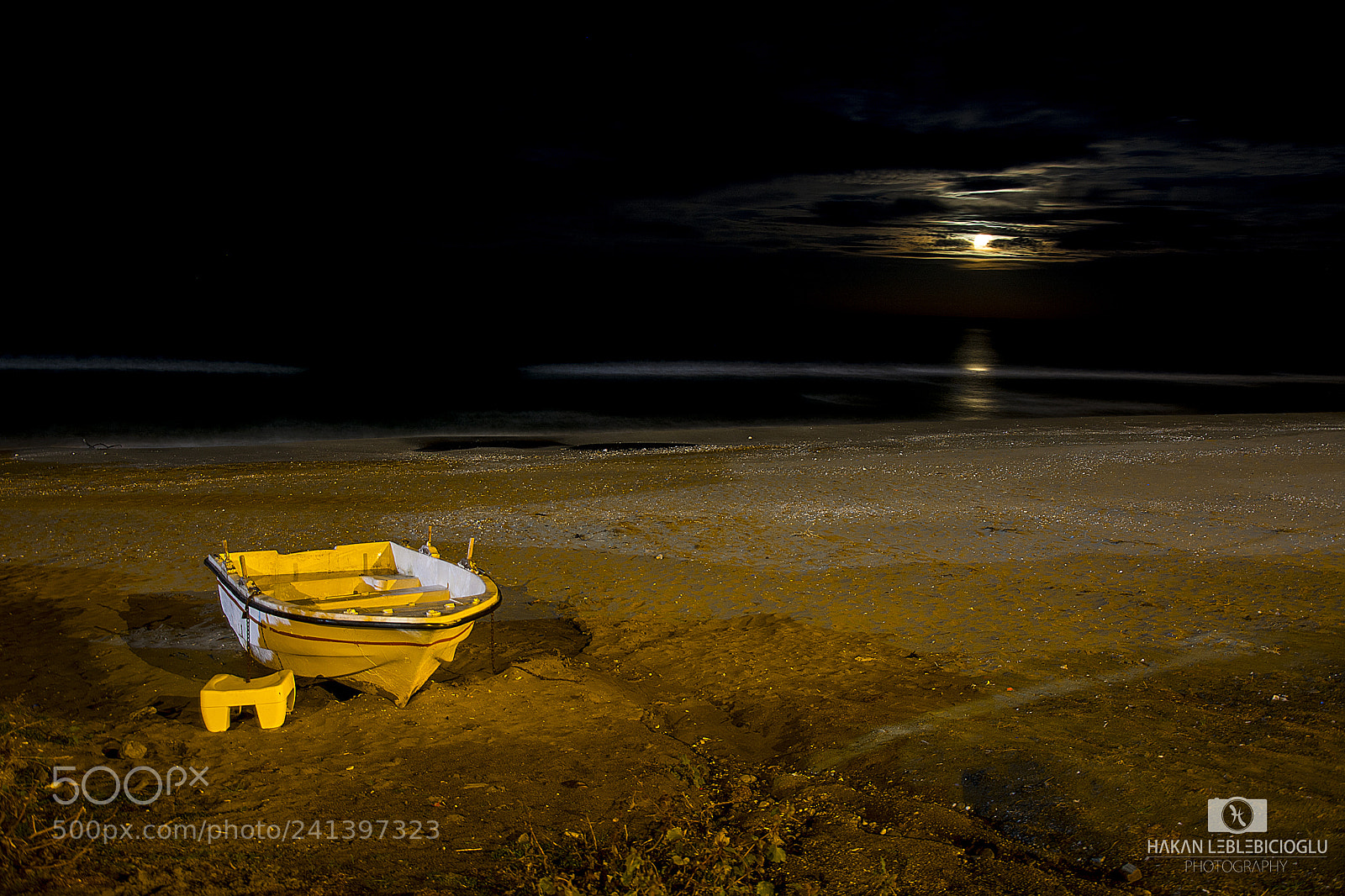 Nikon D7100 sample photo. Full moon and the photography