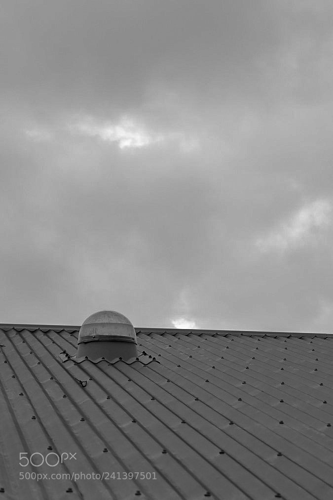 Fujifilm X-E1 sample photo. Untitled photography