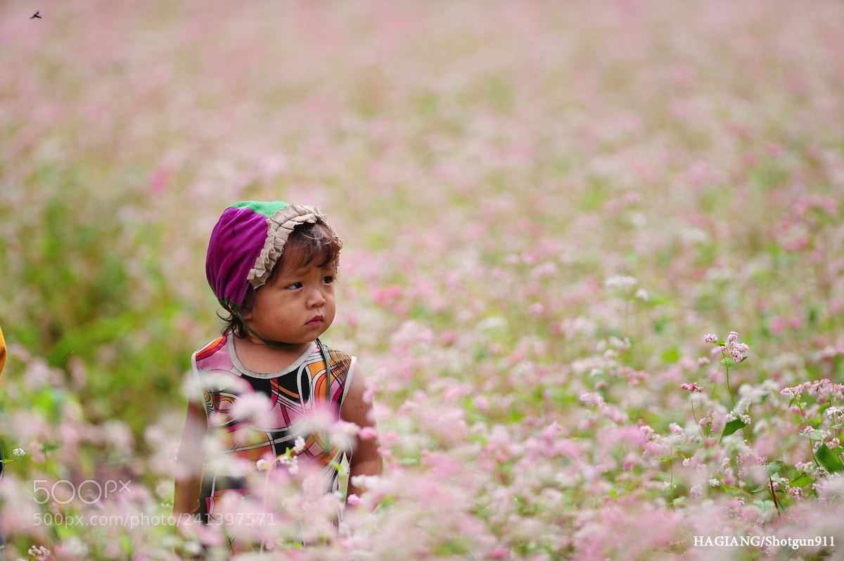 Nikon D700 sample photo. Ha giang - vietnam photography