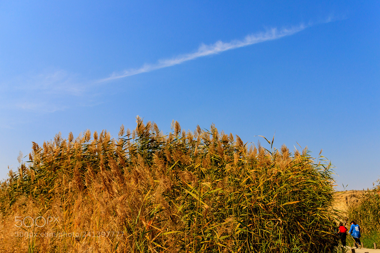 Canon EOS 500D (EOS Rebel T1i / EOS Kiss X3) sample photo. 水洞沟 photography