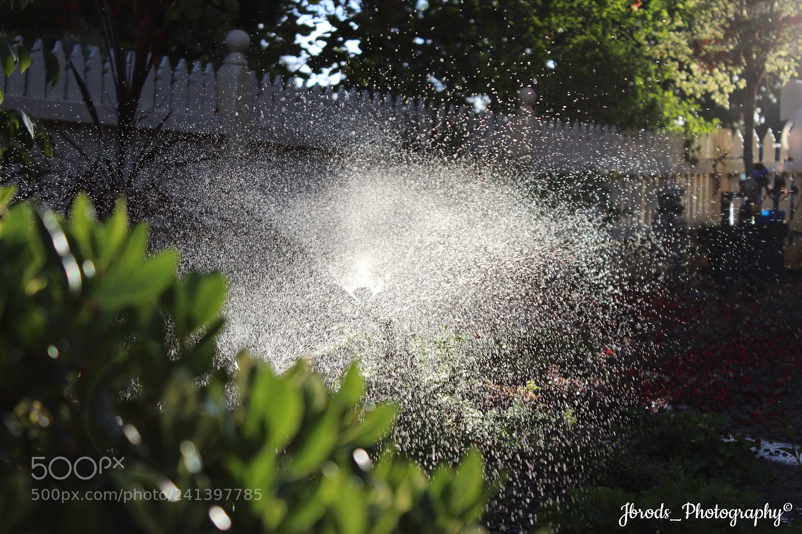 Canon EF-S 18-55mm F3.5-5.6 III sample photo. Garden photography