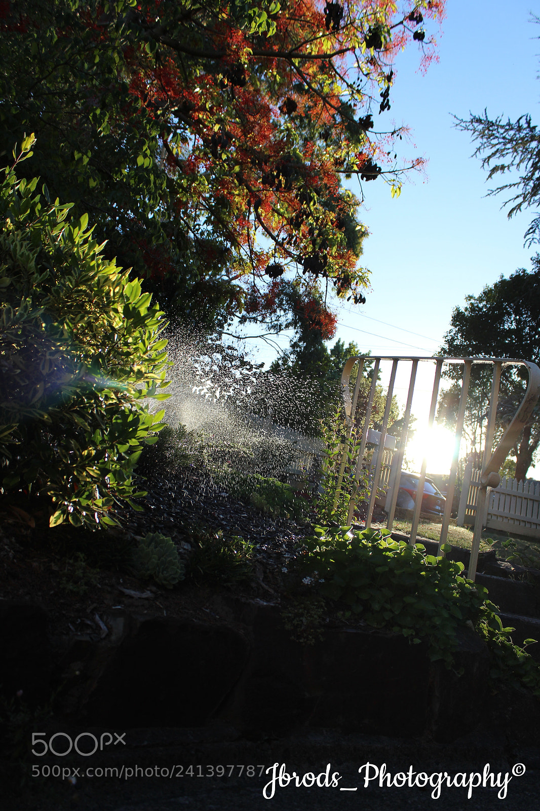 Canon EF-S 18-55mm F3.5-5.6 III sample photo. Garden photography