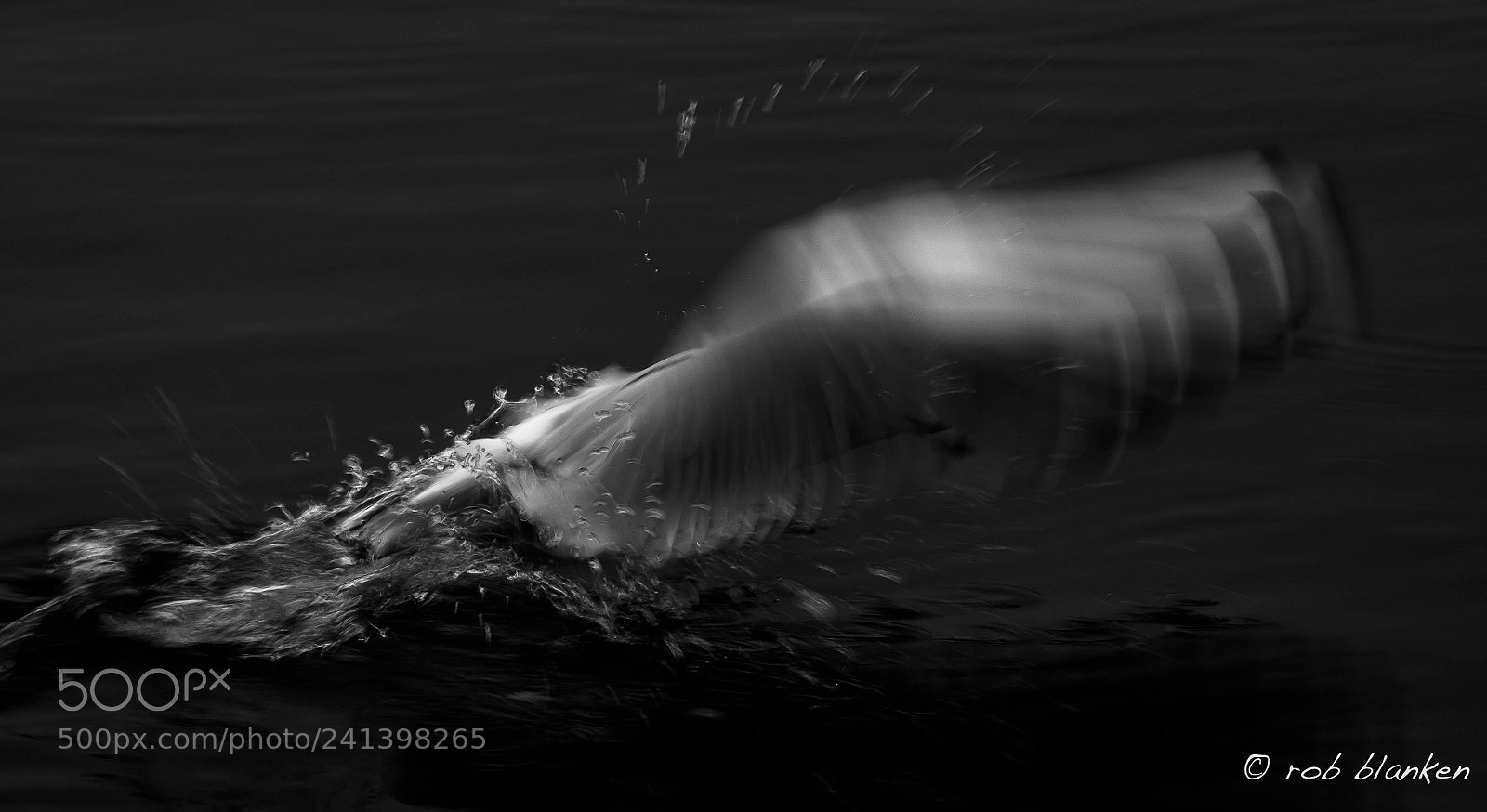 Nikon D500 sample photo. Movement photography