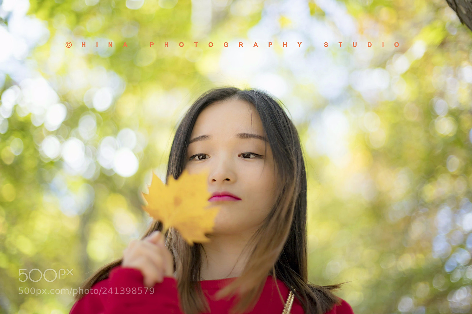 Canon EOS 6D Mark II sample photo. 一叶一追寻 photography