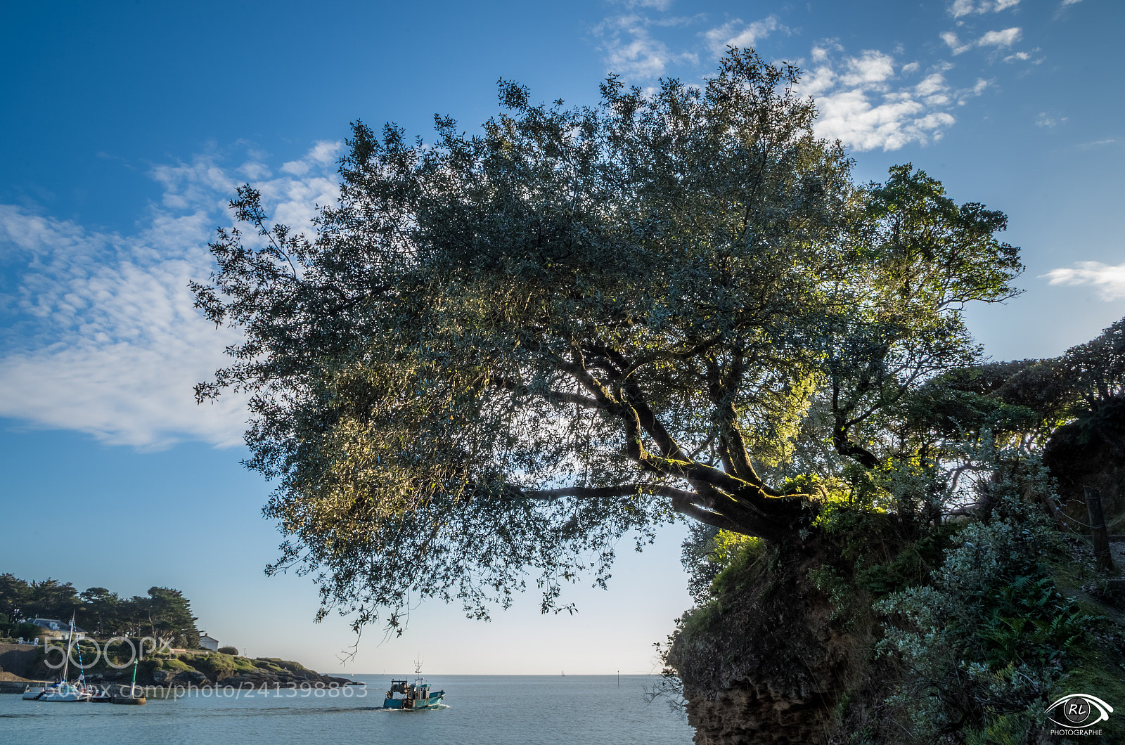 Pentax K-50 sample photo. Ria de pornic photography