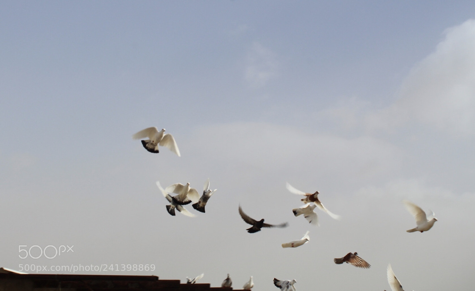 Canon EOS 1300D (EOS Rebel T6 / EOS Kiss X80) sample photo. Sky photography