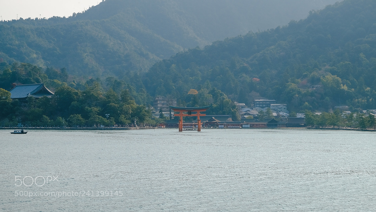 Fujifilm X-T10 sample photo. Dscf photography