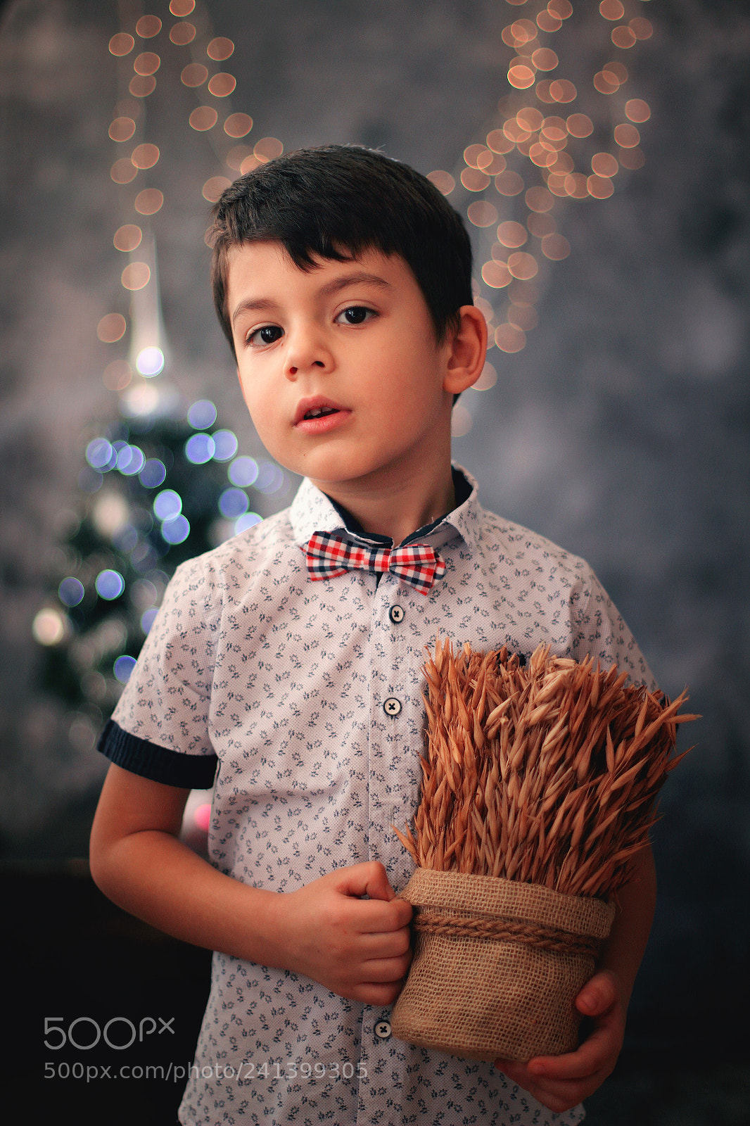 Canon EOS 60D sample photo. The big little boy photography
