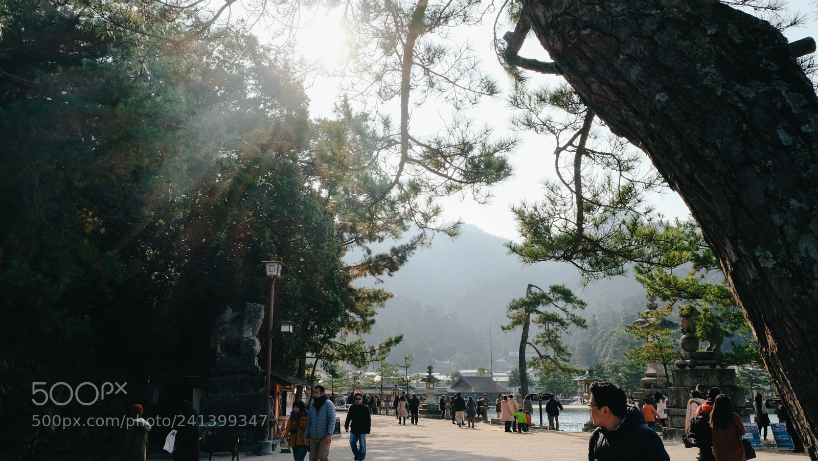 Fujifilm X-T10 sample photo. Dscf photography