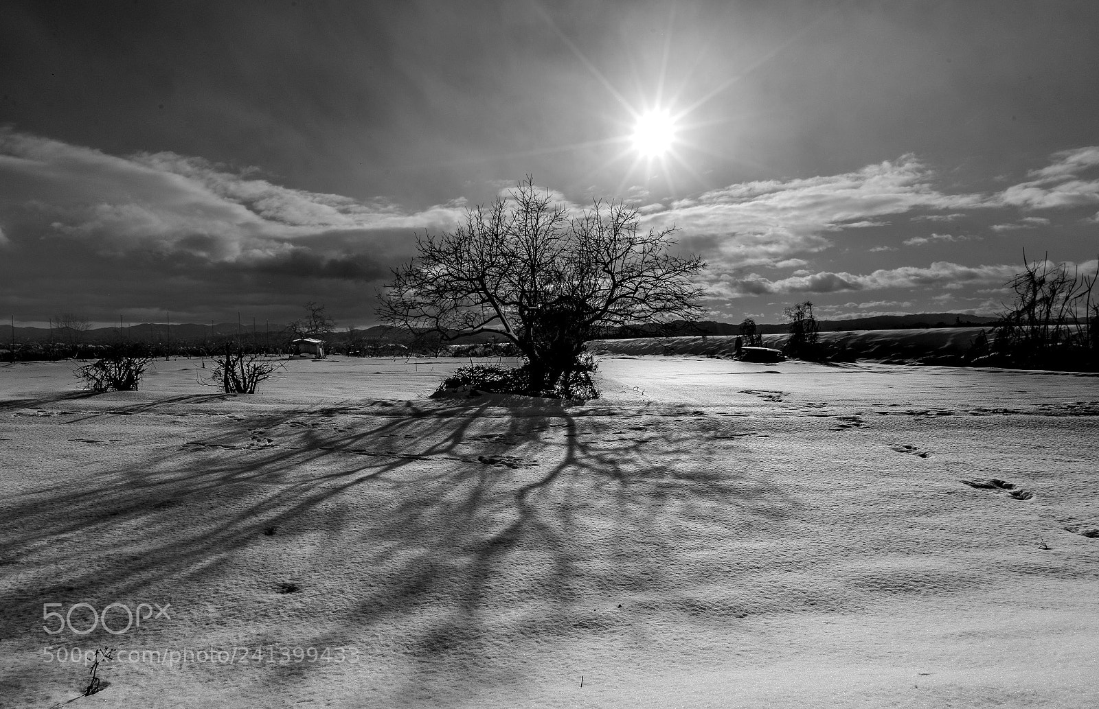 Sony a7 II sample photo. Shadow on the snow photography