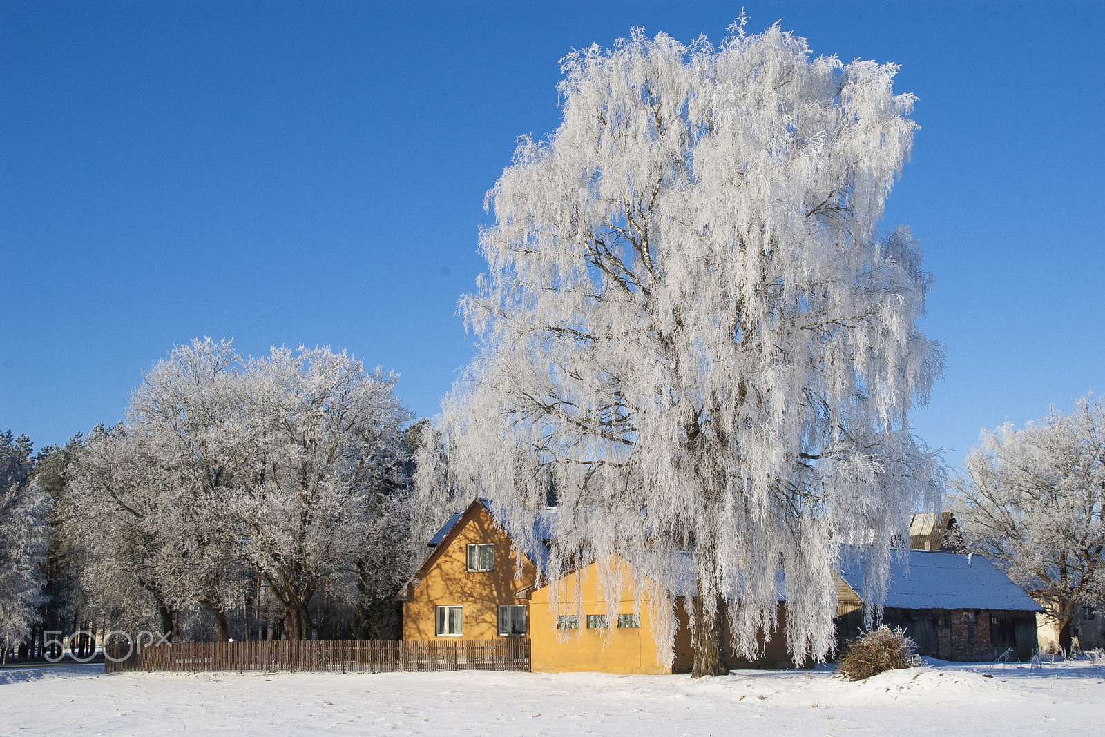 Pentax K100D Super sample photo. Cold morning in the countryside photography