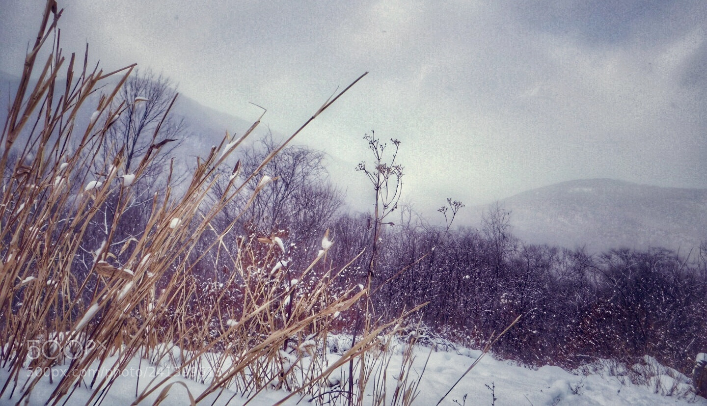 Nikon Coolpix B500 sample photo. Dark winter afternoon photography