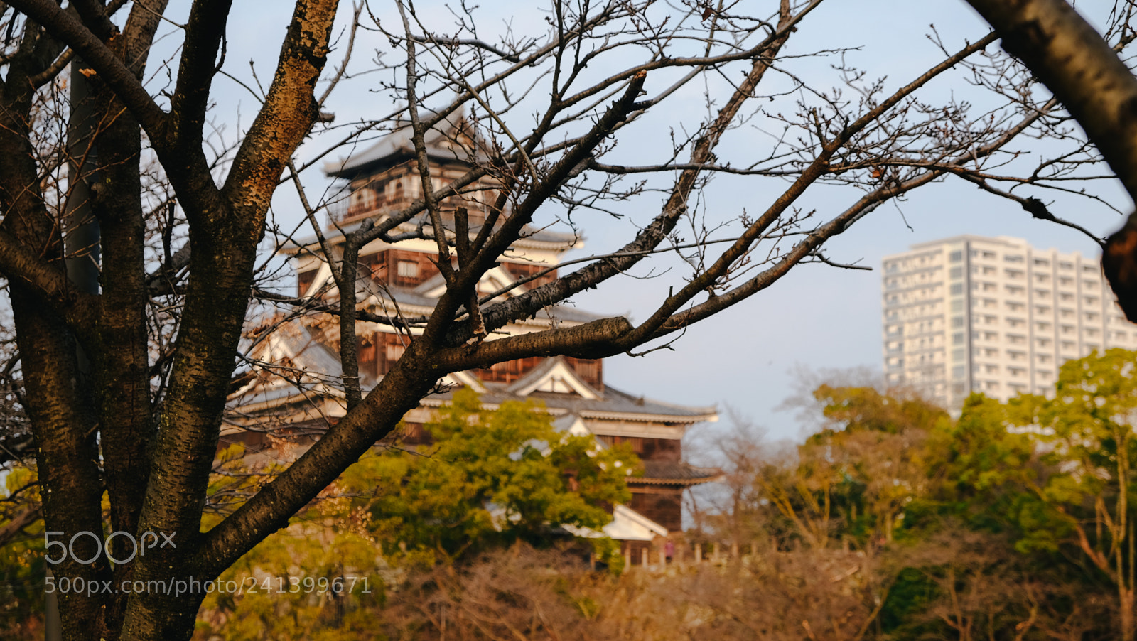Fujifilm X-T10 sample photo. Dscf photography