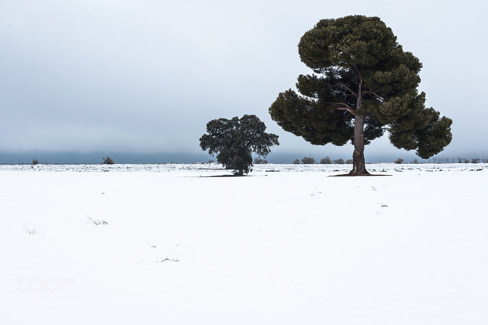 Canon EOS 650D (EOS Rebel T4i / EOS Kiss X6i) sample photo. Sierra de baza photography