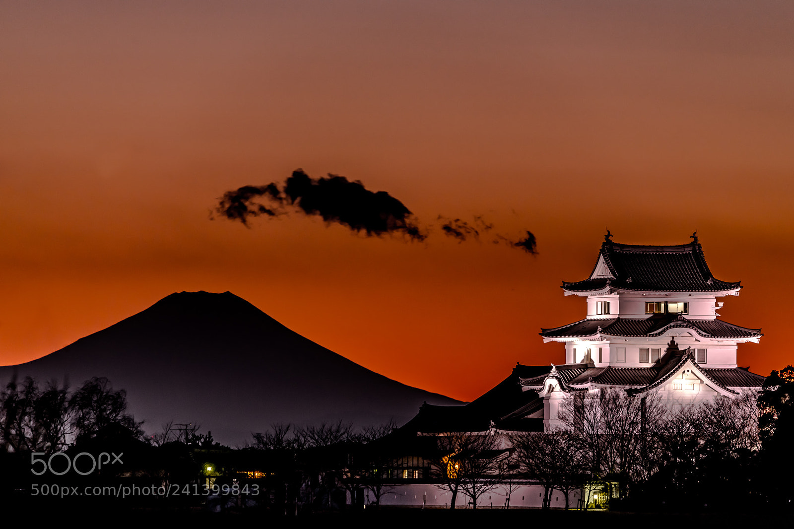 Nikon D850 sample photo. Sekiyado castle photography