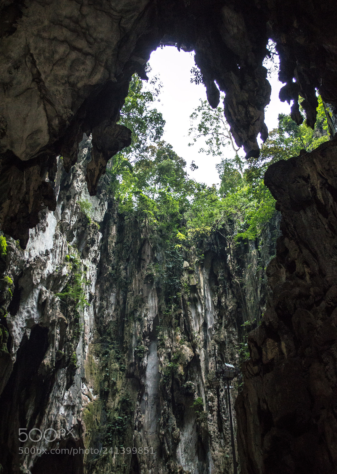 Nikon D3200 sample photo. Up photography