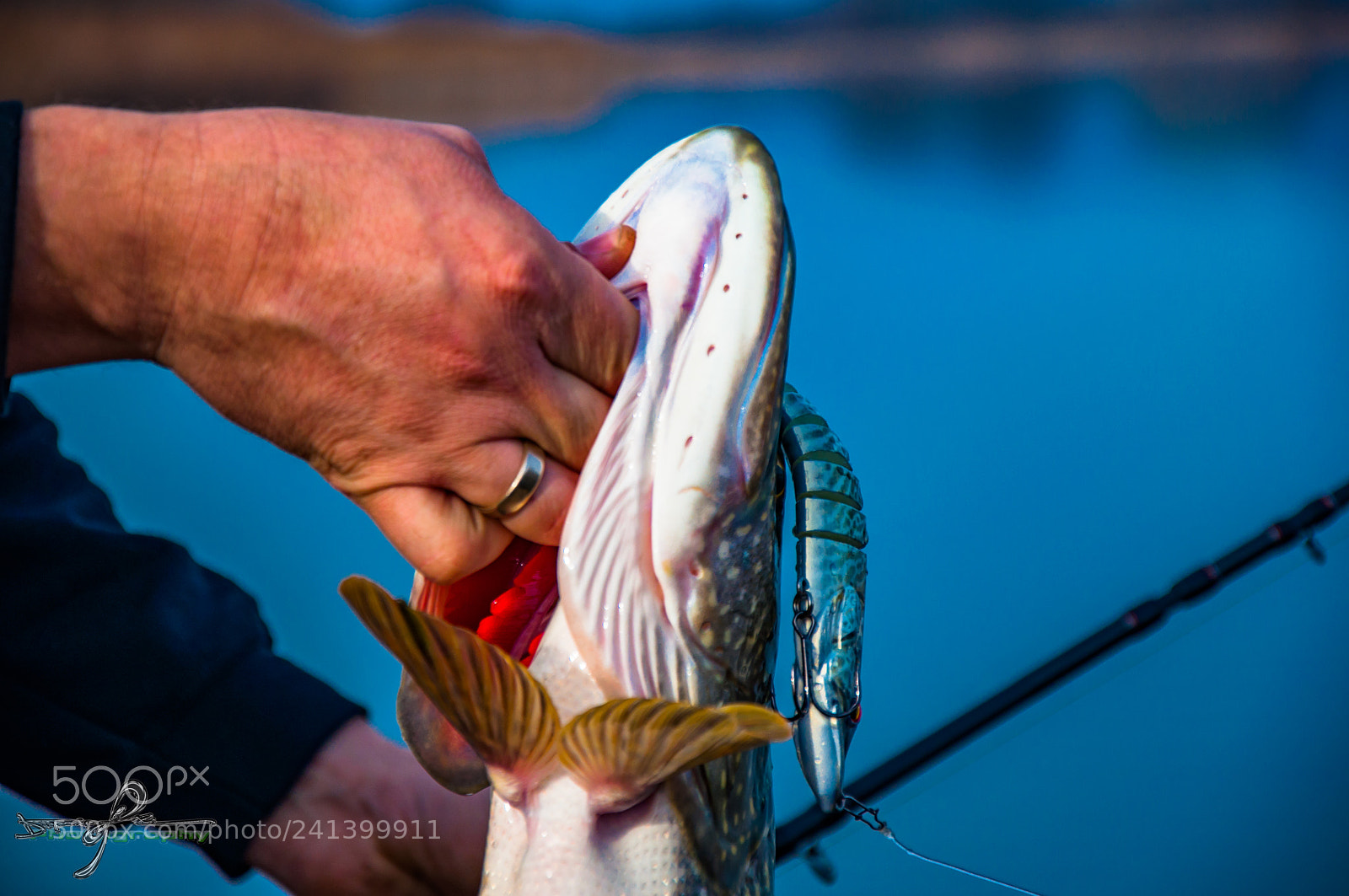 Nikon D90 sample photo. Fishing photography