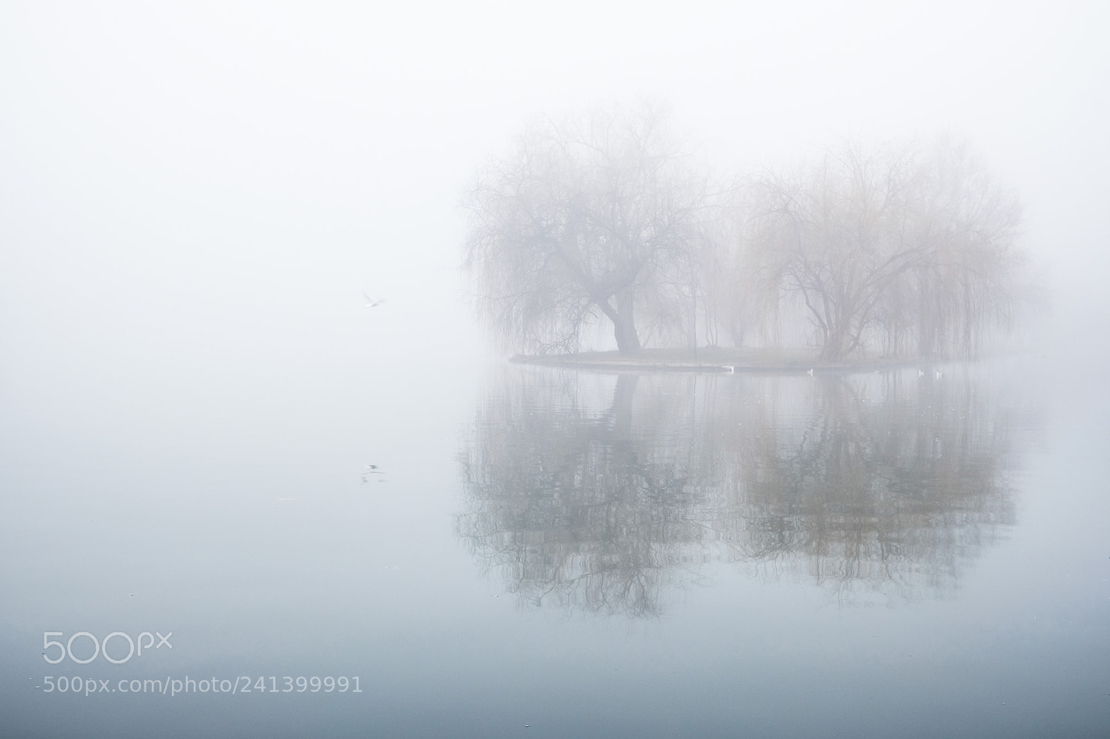 Fujifilm X-T2 sample photo. In fog photography