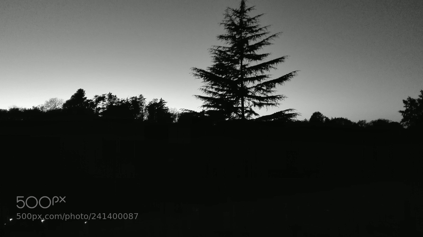 HUAWEI P8 Lite sample photo. Untitled photography