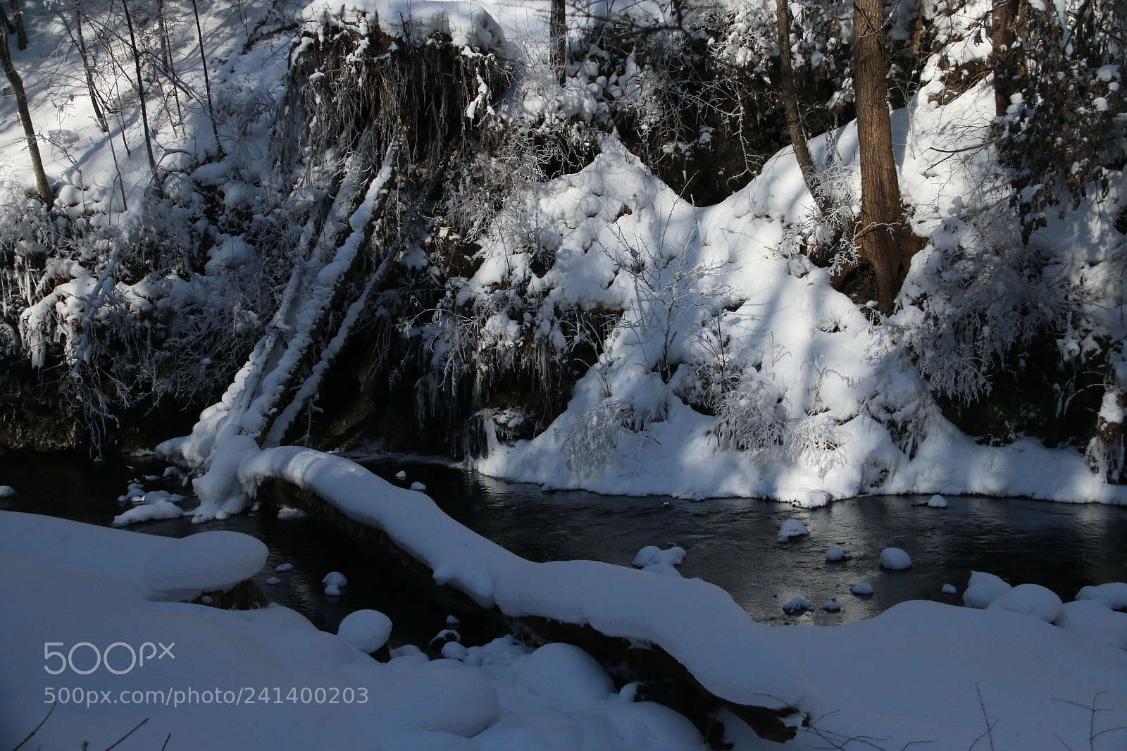 Canon EF-S 18-200mm F3.5-5.6 IS sample photo. The fallen wood is photography